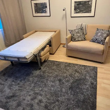 Kaksio, Parveke Ja Ap, Ydinkeskustassa * Jyvaskyla